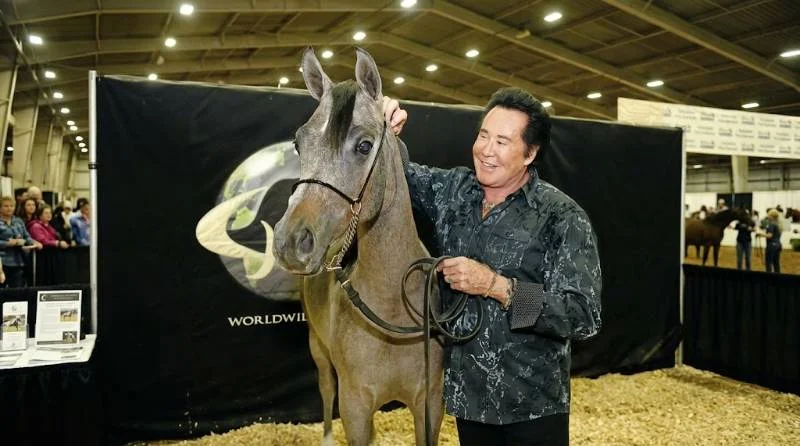 Wayne Newton with an Arabian horse at a Las Vegas-area ranch